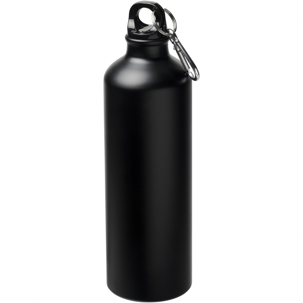 Logo trade promotional giveaways picture of: Oregon 770 ml matte water bottle with carabiner