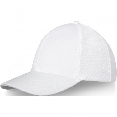 Logo trade promotional giveaways picture of: Drake 6 panel trucker cap
