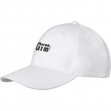 Logo trade promotional item photo of: Davis 6 panel cap