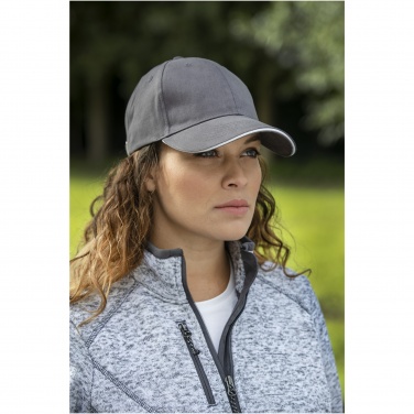 Logotrade corporate gift picture of: Darton 6 panel sandwich cap