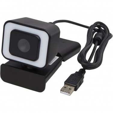 Logotrade promotional merchandise picture of: Hybrid webcam