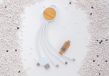 Logotrade promotional giveaway image of: RCS recycled plastic Ontario 6-in-1 round cable