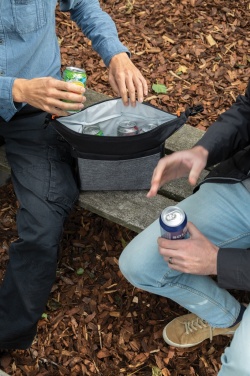 Logotrade promotional merchandise image of: Two tone cooler bag