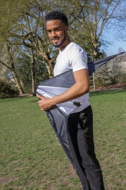 Logotrade promotional giveaways photo of: Delta kite