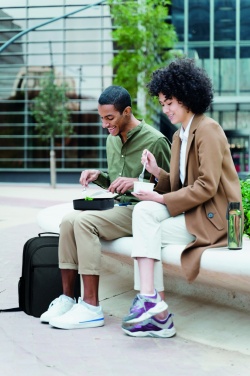 Logotrade promotional merchandise picture of: Lunch box in recycled PP