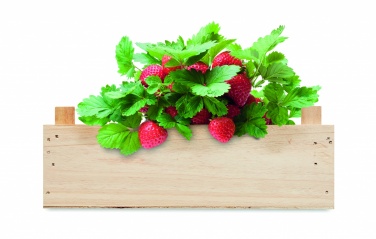 Logotrade promotional item picture of: Strawberry kit in wooden crate