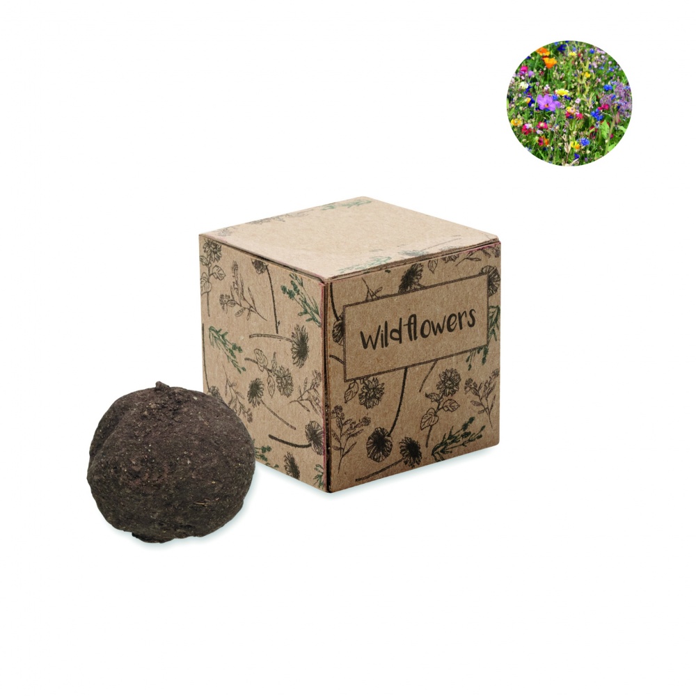 Logotrade corporate gift image of: Seed bomb growing kit