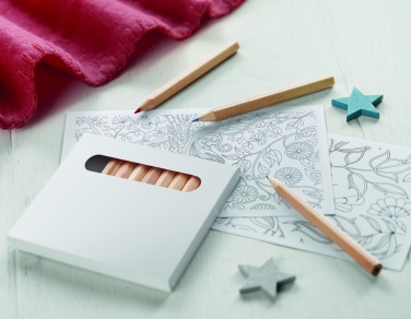 Logotrade promotional item picture of: Drawing adult set