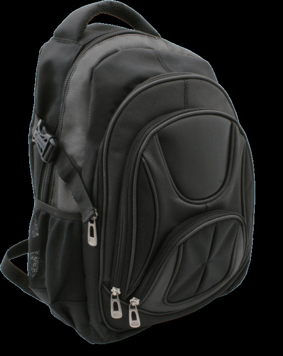 Logotrade promotional gift image of: Laptop backpack 69903400