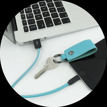 Logotrade promotional gift image of: Keyring 59612900