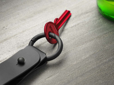 Logotrade promotional giveaway picture of: Keyring 1709094