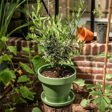 Logotrade promotional giveaway picture of: Treemore Letterbox Trees Olive