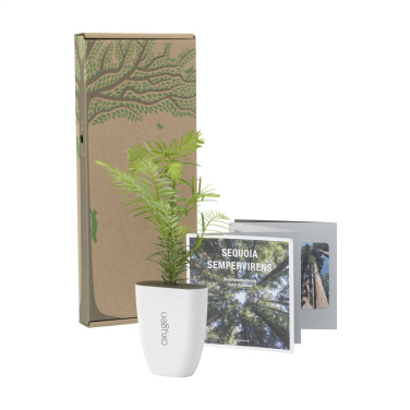 Logotrade promotional item picture of: Treemore Letterbox Trees Giant Sequoia