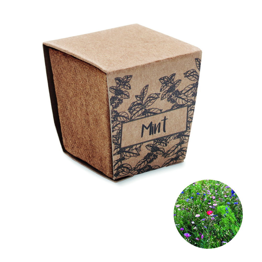 Logo trade promotional merchandise image of: Mint seeds growing kit