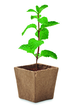 Logo trade promotional merchandise photo of: Mint seeds growing kit