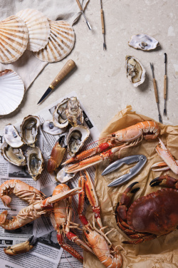 Logo trade promotional gift photo of: VINGA Story of seafood