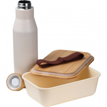 Logo trade corporate gifts image of: Set Lunchbox with stainless steel bottle Toronto