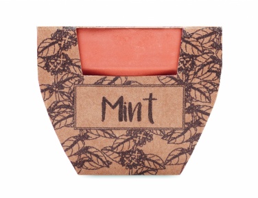 Logotrade reklaamkingituse foto: Terrakota potti piparmündiseemned