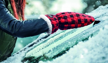 Logotrade meened pilt: Tepitud jääkaabitsaga kinnas