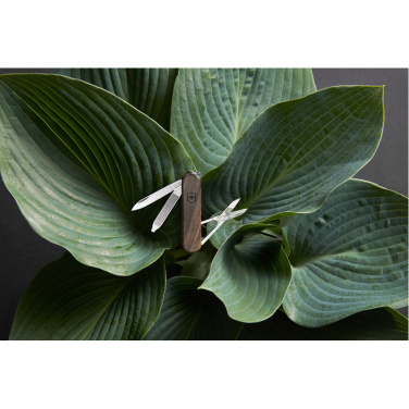 Logotrade reklaamkingituse foto: Taskunuga CLASSIC SD Victorinox