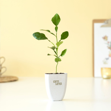 Logo trade meene pilt: Treemore Letterbox Trees Kaffir Lemon