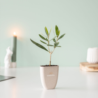 Logo trade ärikingid foto: Treemore Letterbox Trees Olive