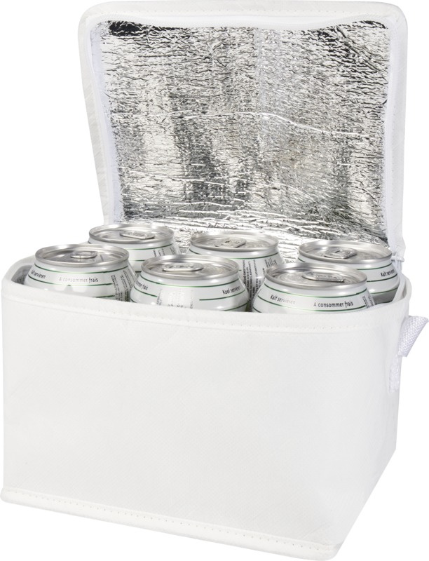 Logotrade reklaamtooted pilt: Spectrum taaskasutatud materjalist külmakott 4L 6-purgile