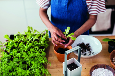 Logo trade reklaamkingitused foto: LED-valgustusega istutuspott LUSHLET