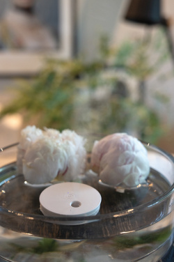 Logotrade ärikingi foto: Breevia RCS plastikust laetav ujuv õhuniisutaja