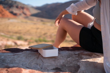 Logo trade ärikingituse pilt: RCS lõunakarp bambusest kaanega