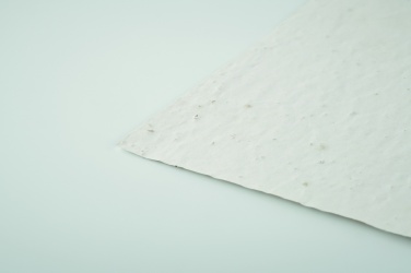 Logo trade liikelahjat tuotekuva: Niittykukan siemeniä A6