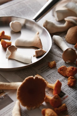 Логотрейд pекламные продукты картинка: Уличный поддон VINGA Vici